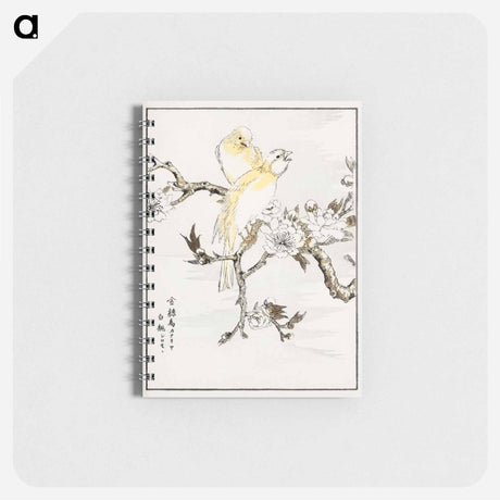 アートメモ帳-Canary and Peach
 - 鳥類図鑑 Memo.