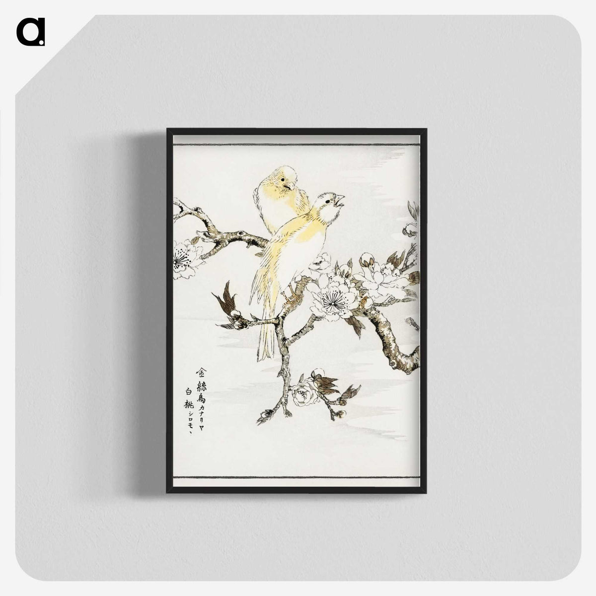 1-47_Pictorial-Monograph-of-Birds_blk-crop