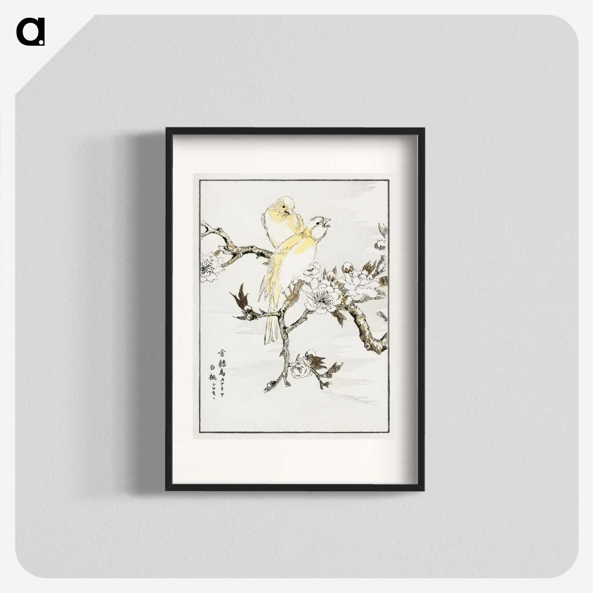 1-47_Pictorial-Monograph-of-Birds_blk