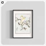 1-47_Pictorial-Monograph-of-Birds_blk