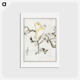 1-47_Pictorial-Monograph-of-Birds_hagaki