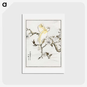 1-47_Pictorial-Monograph-of-Birds_hagaki