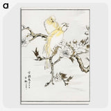 1-47_Pictorial-Monograph-of-Birds_picture-crop