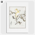 1-47_Pictorial-Monograph-of-Birds_picture