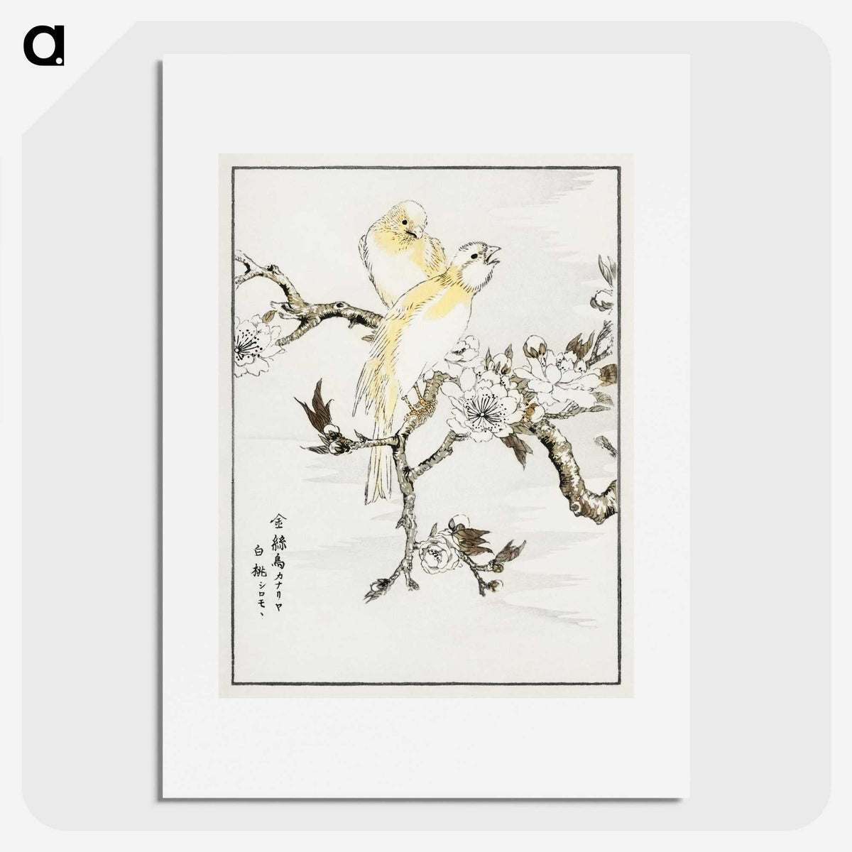 1-47_Pictorial-Monograph-of-Birds_picture