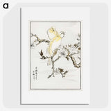 1-47_Pictorial-Monograph-of-Birds_picture
