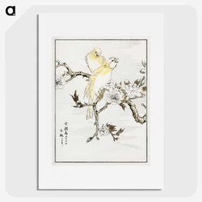 1-47_Pictorial-Monograph-of-Birds_picture