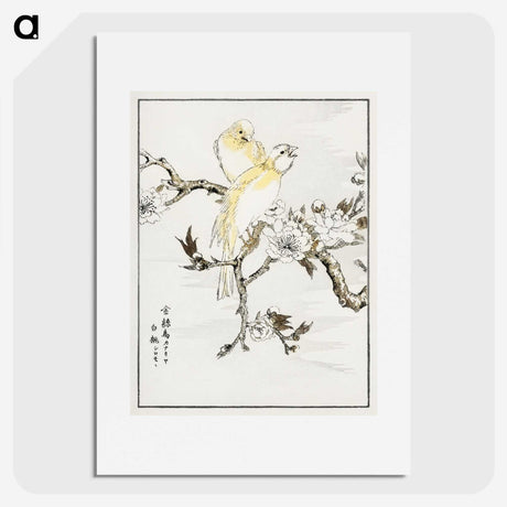 1-47_Pictorial-Monograph-of-Birds_picture