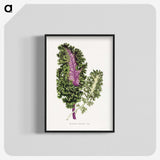1-47_Plants-with-Colored-Foliage_blk-crop