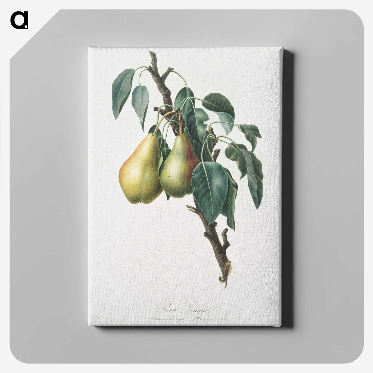 1-47_Pomona-Italiana_canvas