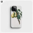 1-47_Pomona-Italiana_phone