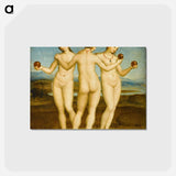 アートポストカード-Raphael's Three Graces - ラファエロ サンティ Postcard.