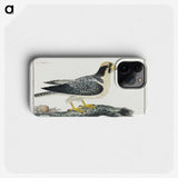 1-47_Robert-Jacob-Gordon_phone