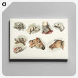 1-47_Sporting-Sketches_canvas