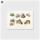 1-47_Sporting-Sketches_hagaki