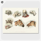 1-47_Sporting-Sketches_picture-crop