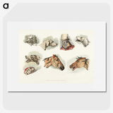 1-47_Sporting-Sketches_picture