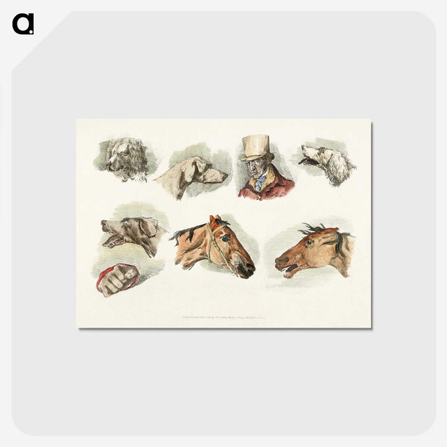 1-47_Sporting-Sketches_postcard