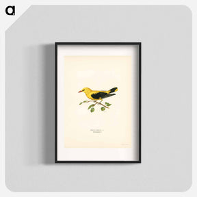 アートポスター-Eurasian Golden Oriole
 - スヴェンスカ フォグラル Poster.