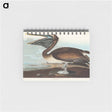 アートメモ帳-Brown Pelican
 - アメリカの鳥たち Memo.