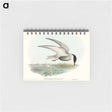 アートメモ帳-Marsh Tern
 - オーストラリアの鳥 Memo.