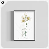 1-47_The-Lilies_blk-crop