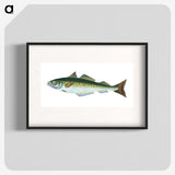 1-47_The-Natural-History-of-British-Fishes_blk