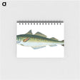 1-47_The-Natural-History-of-British-Fishes_memo