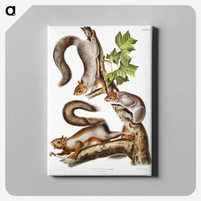 1-47_The-Viviparous-Quadrupeds_canvas
