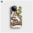 1-47_The-Viviparous-Quadrupeds_phone