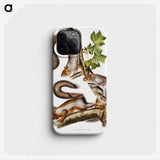 1-47_The-Viviparous-Quadrupeds_phone