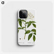 1-47_Treatise-on-Trees-and-Shrubs_phone