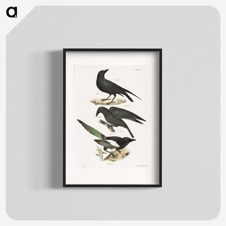 1-47_Zoology-of-New-York_blk