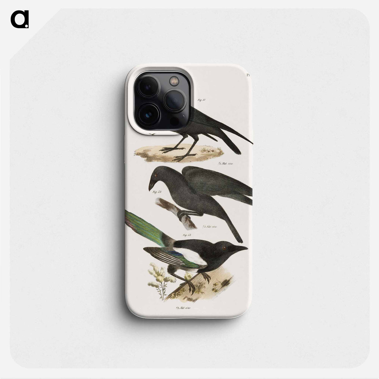 The Raven (Corvus corax) - ニューヨークの動物学 Phone Case.