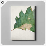 1-48_Abbott-Handerson-Thayer_canvas