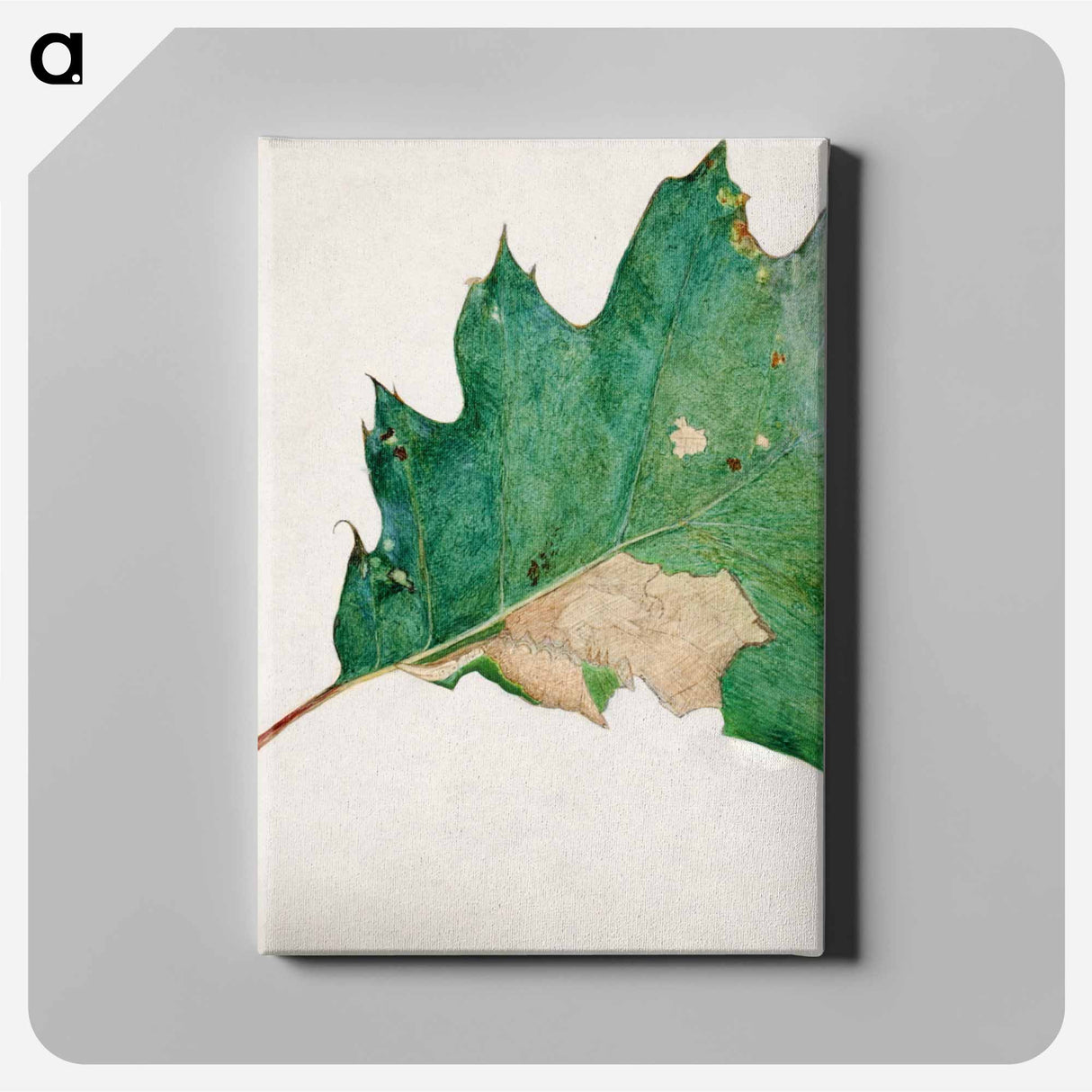 Oligocentra Lignicolor - アボット ハンダーソン セイヤー Canvas.