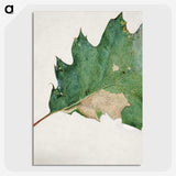 1-48_Abbott-Handerson-Thayer_picture-crop