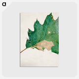 アートポストカード-Oligocentra Lignicolor - アボット ハンダーソン セイヤー Postcard.