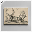 1-48_Albrecht-Durer_canvas