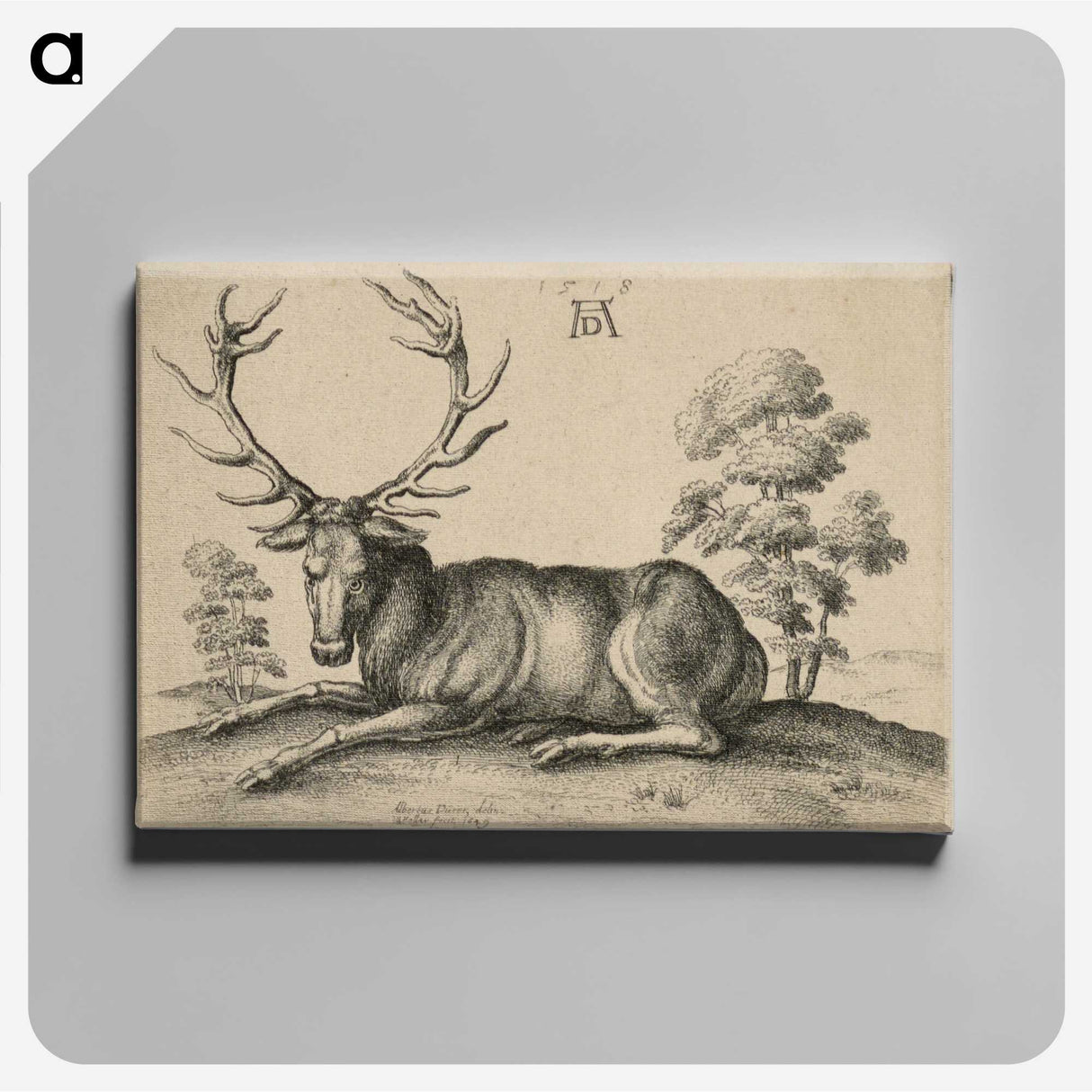 1-48_Albrecht-Durer_canvas