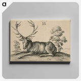 1-48_Albrecht-Durer_canvas