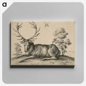 1-48_Albrecht-Durer_canvas