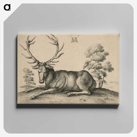 1-48_Albrecht-Durer_canvas