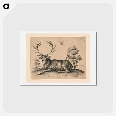 アートポストカード-Stag - アルブレヒト デューラー Postcard.
