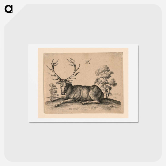 アートポストカード-Stag - アルブレヒト デューラー Postcard.