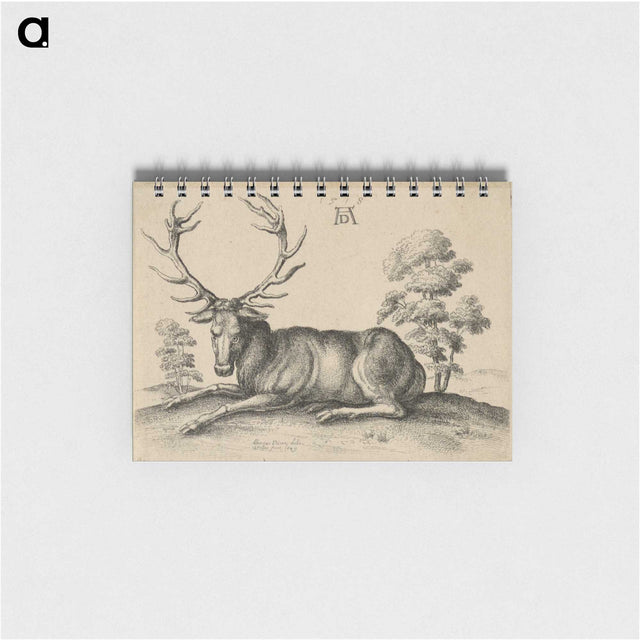 1-48_Albrecht-Durer_memo