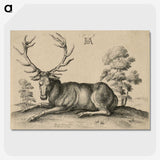 1-48_Albrecht-Durer_picture-crop