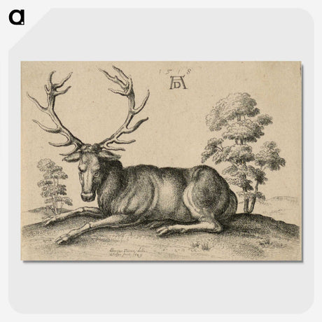 1-48_Albrecht-Durer_picture-crop