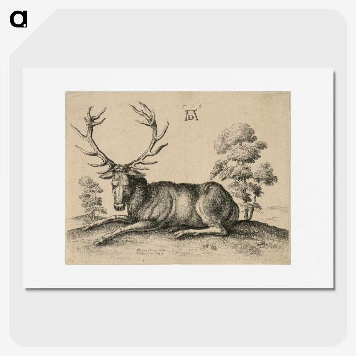 1-48_Albrecht-Durer_picture