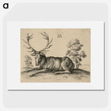 1-48_Albrecht-Durer_picture